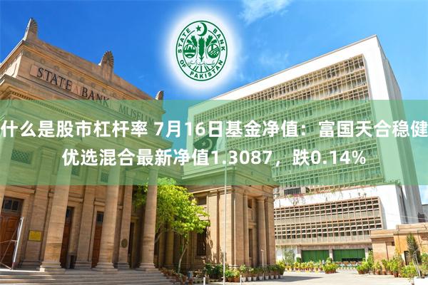 什么是股市杠杆率 7月16日基金净值：富国天合稳健优选混合最新净值1.3087，跌0.14%