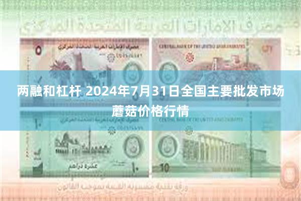 两融和杠杆 2024年7月31日全国主要批发市场蘑菇价格行情