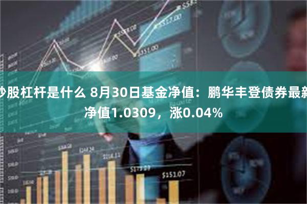 炒股杠杆是什么 8月30日基金净值：鹏华丰登债券最新净值1.0309，涨0.04%